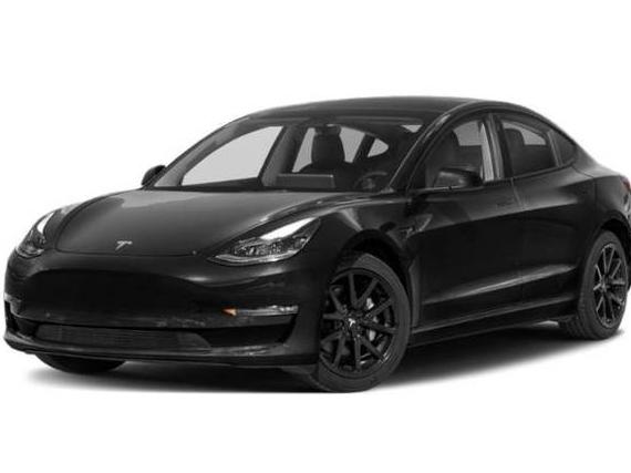 TESLA MODEL 3 2023 5YJ3E1EA0PF649377 image